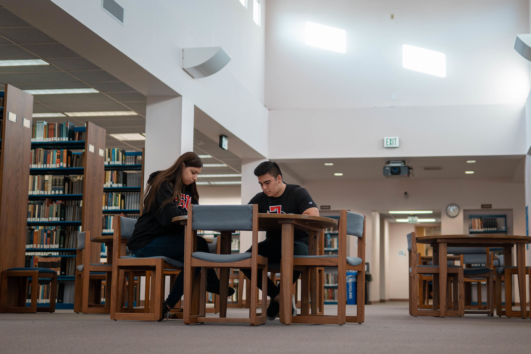 Students studying in the library