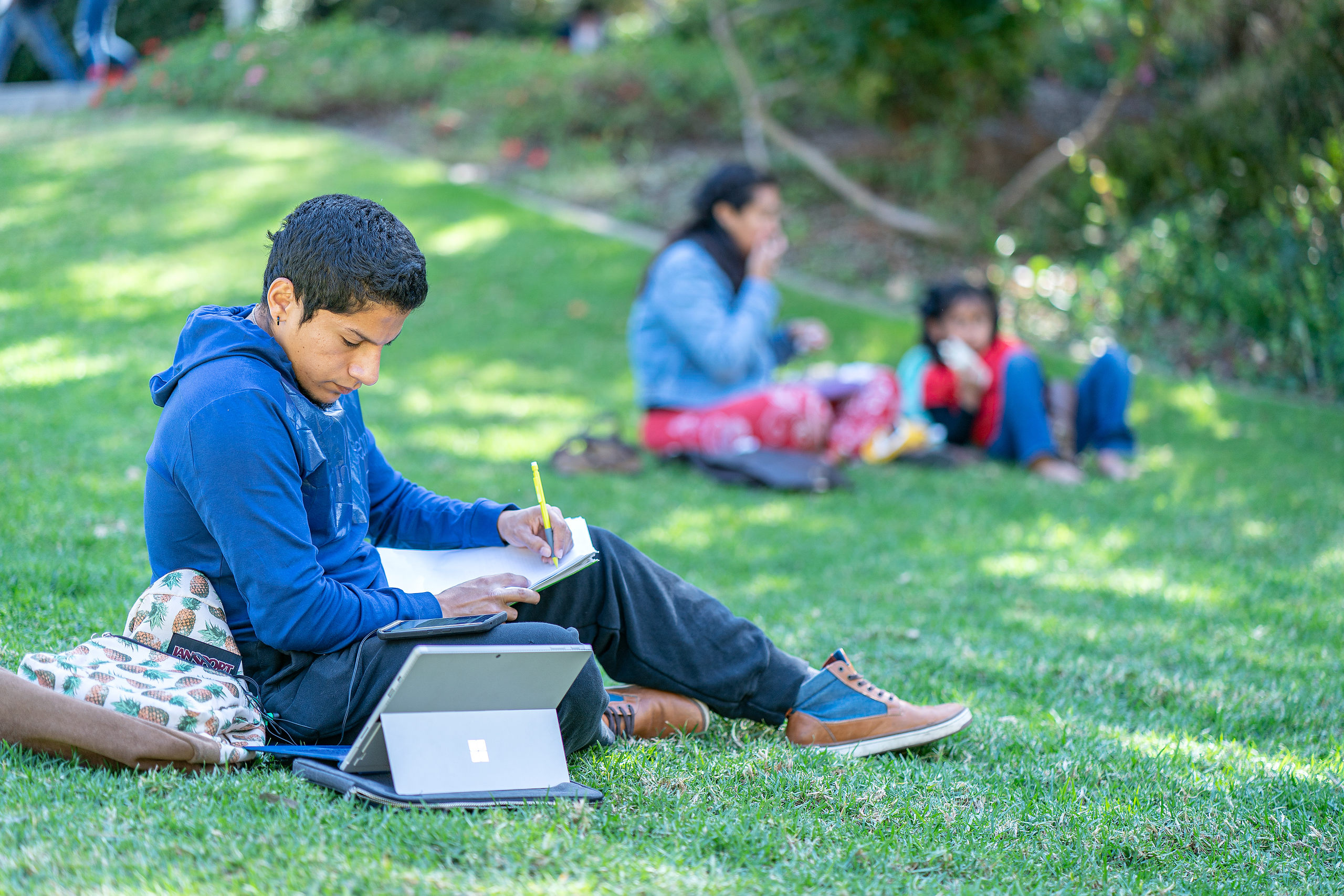 Student looking over notes on laptop